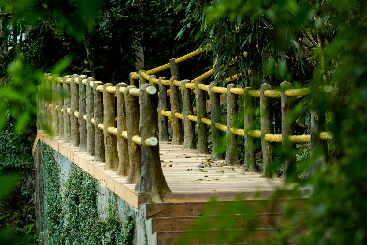 ThenmalaE's tweet photo. Welcome to Thenmala Ecotourism
For bookings and inquiries
𝖳𝖾𝗅: 𝟢𝟦𝟩𝟧-𝟤𝟥𝟦𝟦𝟪𝟢𝟢 𝖬𝗈𝖻 : 𝟫𝟦𝟫𝟨𝟥𝟦𝟦𝟪𝟢𝟢
𝖤𝗆𝖺𝗂𝗅: 𝗂𝗇𝖿𝗈@𝗍𝗁𝖾𝗇𝗆𝖺𝗅𝖺𝖾𝖼𝗈𝗍𝗈𝗎𝗋𝗂𝗌𝗆.𝖼𝗈𝗆 𝖶𝖾𝖻 :
https://t.co/v3572gHHpY https://t.co/9yHIwbIpp7