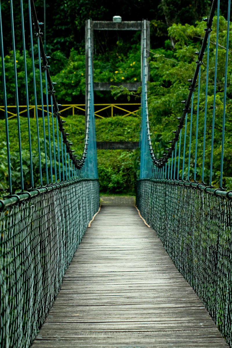 ThenmalaE's tweet photo. Welcome to Thenmala Ecotourism
For bookings and inquiries
𝖳𝖾𝗅: 𝟢𝟦𝟩𝟧-𝟤𝟥𝟦𝟦𝟪𝟢𝟢 𝖬𝗈𝖻 : 𝟫𝟦𝟫𝟨𝟥𝟦𝟦𝟪𝟢𝟢
𝖤𝗆𝖺𝗂𝗅: 𝗂𝗇𝖿𝗈@𝗍𝗁𝖾𝗇𝗆𝖺𝗅𝖺𝖾𝖼𝗈𝗍𝗈𝗎𝗋𝗂𝗌𝗆.𝖼𝗈𝗆 𝖶𝖾𝖻 :
https://t.co/v3572gHHpY https://t.co/9yHIwbIpp7