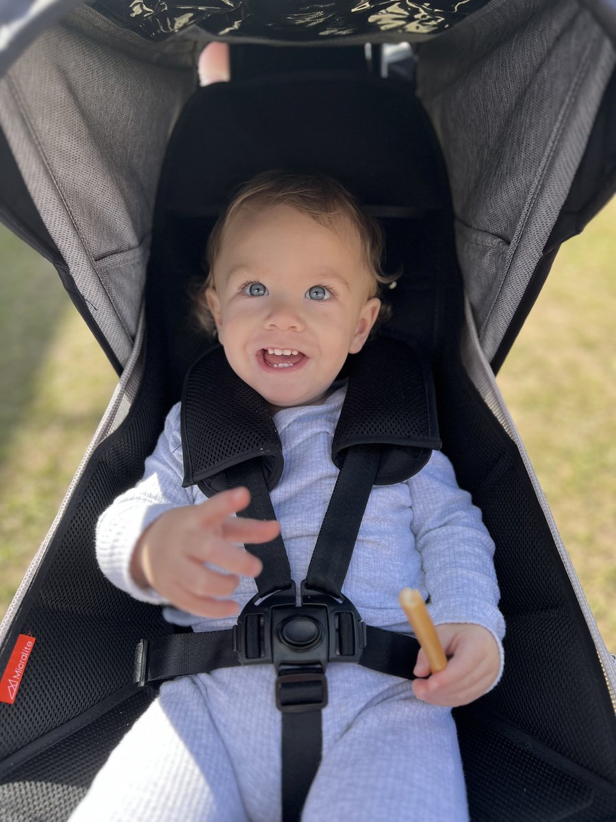 MKaela__'s tweet photo. Almost a mouth full of teeth and he’s only just turned 1. https://t.co/vuMyQEVycv