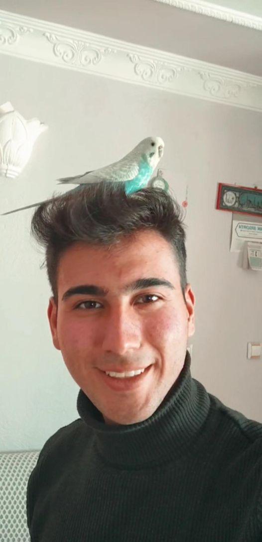 sevmutluol's tweet photo. Fotoğraf için teşekkür ederiz 😊🥰🤗
Fotoğraf sahibi İnstagram : qhmetalici
#satinalmasahiplen #hayvanlarisevmutluol #hayvanlar #animals #instaanimals #loveanimals https://t.co/wCVyjGOIt5