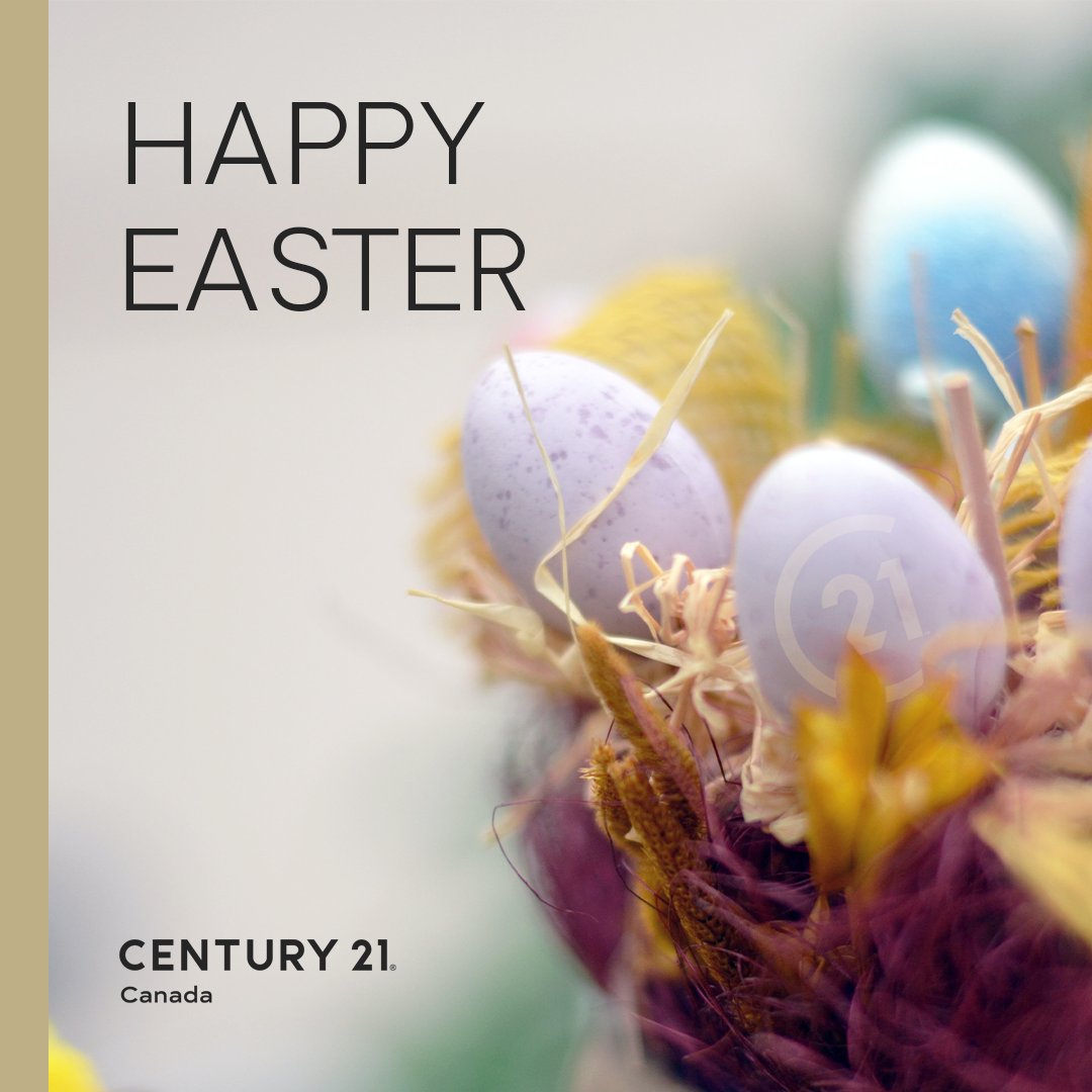 Ali Hassan, PMP, MBA tweet media