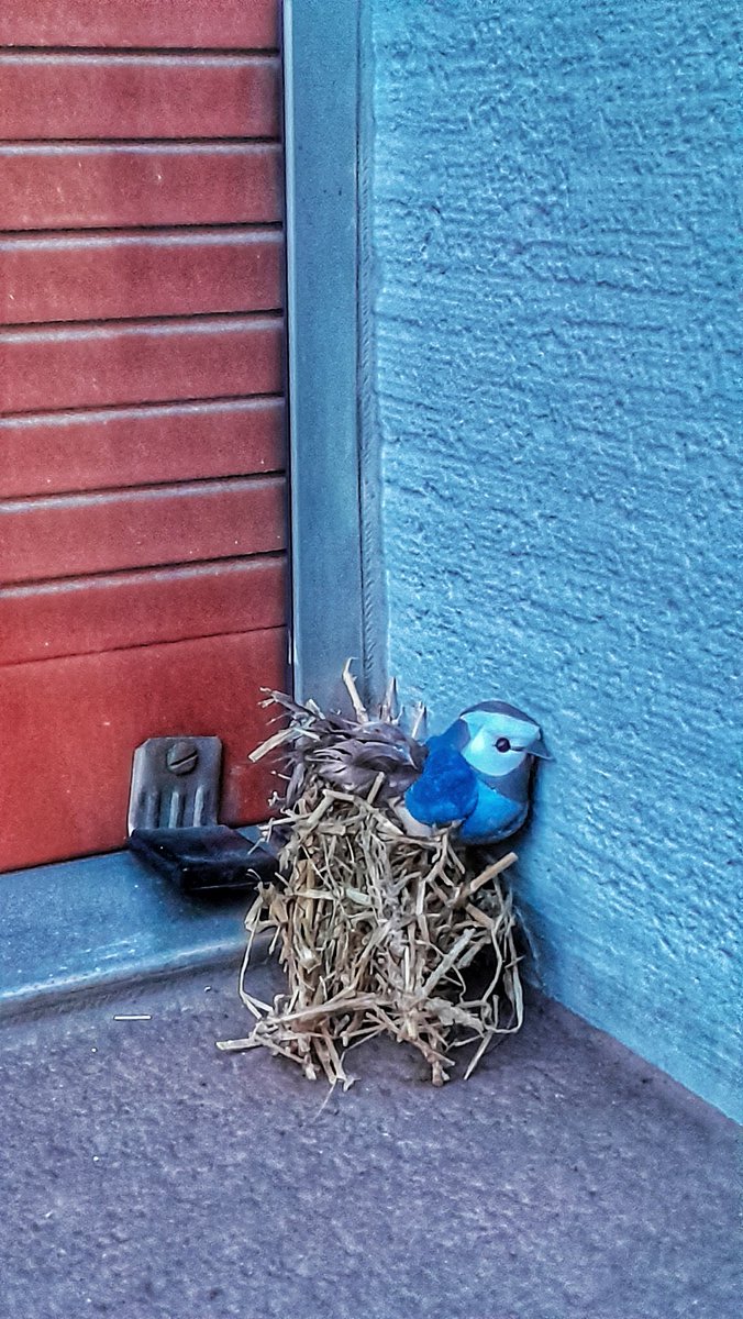 AndreSICHT tweet picture