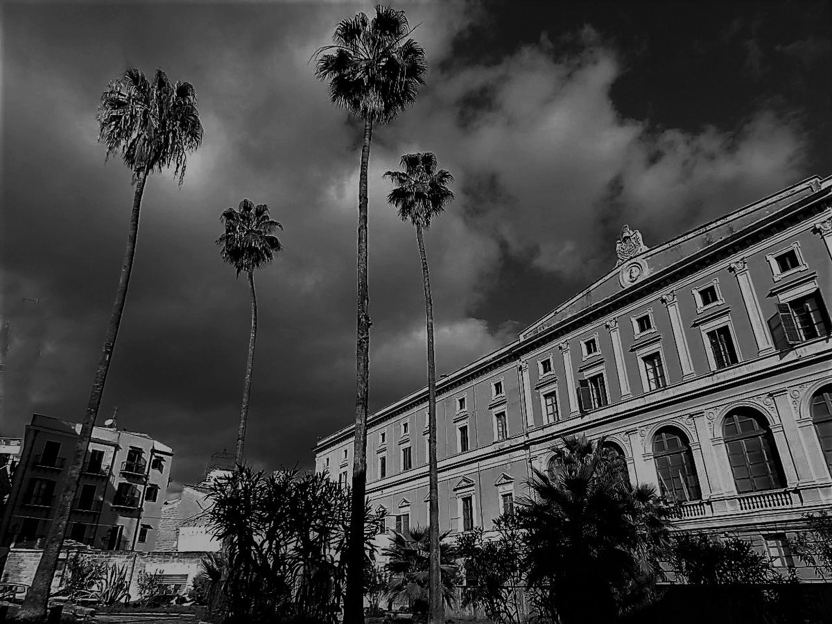 ZioPippinu's tweet photo. 'U #ZûPippinu scrive e legge #poesie #poetry #versi #verse - per lo più in #dialetto #siculo-#palermitano - e scatta #Foto #Photo #Photography a #Palermo #Sicily #Italy #Mondo e #Dintorni
#PALME sul #CONVITTO
Foto di Zû Pippinu https://t.co/ZOfmehirXT