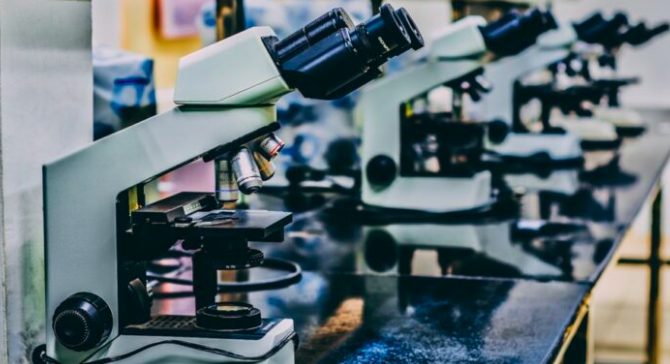 Più investimenti per la #scienza pura

L’analisi di Andrea Stazi (<a href="/staziand/">Andrea Stazi</a>)

ow.ly/zKUq50NEHrc