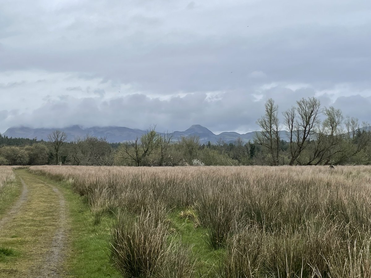 cgillic's tweet photo. Slish Wood to Dromahair #SligoWay #HeartofSligo https://t.co/SzGGbfh3ZP
