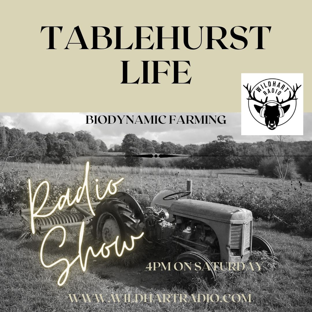 Did you miss the radio show on Saturday?
You can catch up on all the past 'Tablehurst Life' radio shows on the farm website tablehurstfarm.org.uk/about-1
