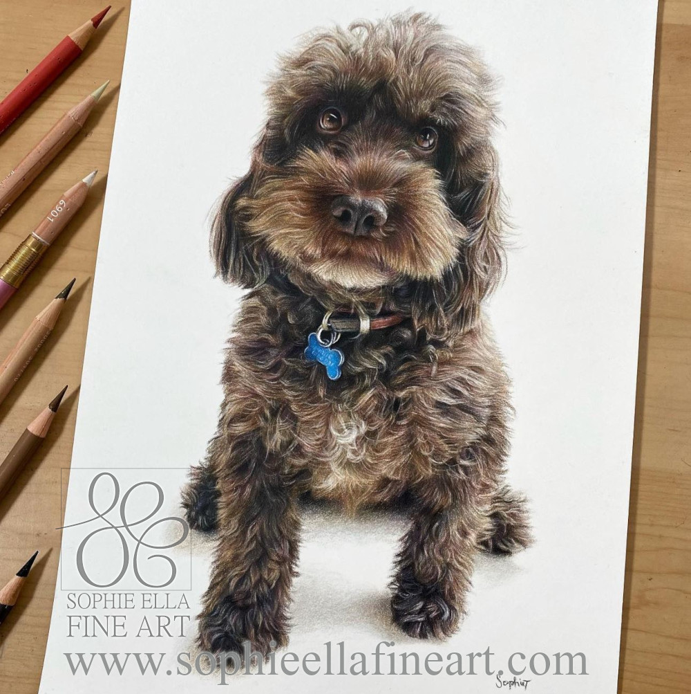 SophieEllaArt's tweet photo. The finished drawing of Bertie 💙 I'm so happy with this portrait, especially because I decided to draw a shadow underneath him as a finishing touch - it almost looks like he’s sitting on the paper! Also Happy Easter everyone, I hope you all have a lovely day. #petportraits https://t.co/EIdM7lHKTZ