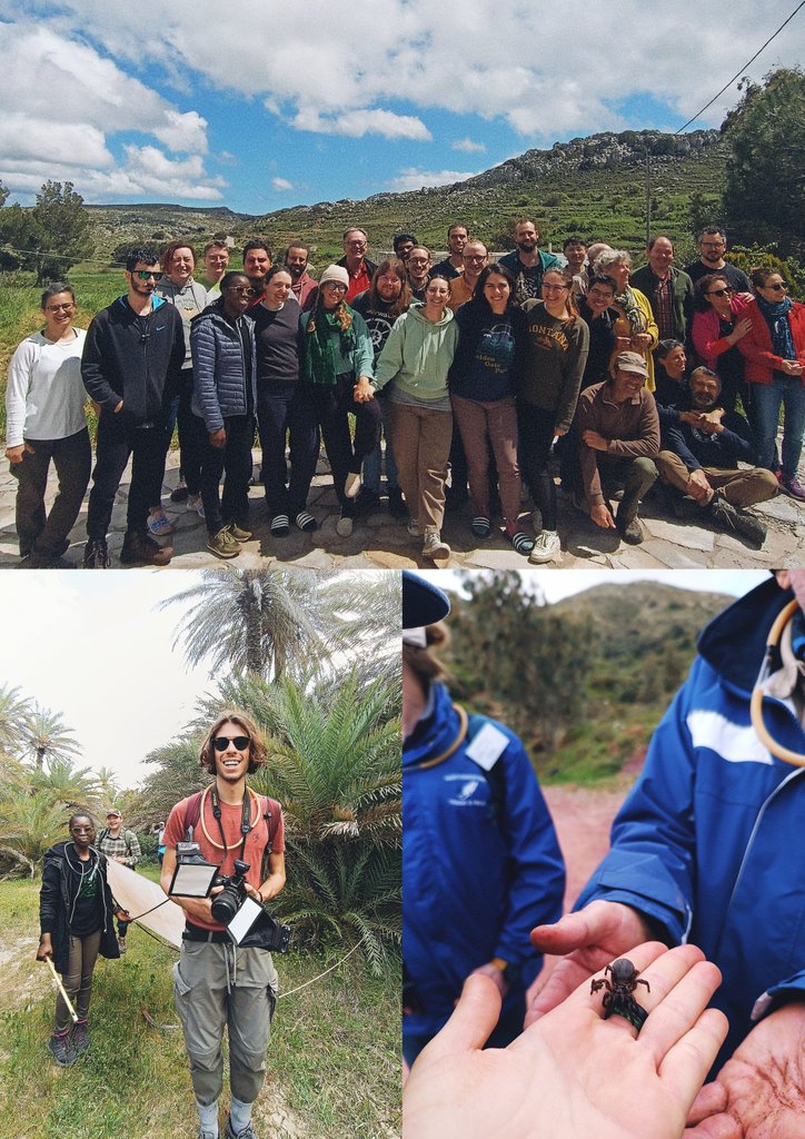 Martina Panisi (@martinapanisi) on Twitter photo A week with spider peeps from all over the world 🕷️🌿 at the fieldwork methodologies and taxonomic identification of spiders course given by the great experts from <a href="/museumnaturalis/">Naturalis Biodiversity Center</a> and the Natural History Museum of Crete ☀️ <a href="/CIBIO_InBIO/">BIOPOLIS-CIBIO</a> A week with spider peeps from all over the world 🕷️🌿 at the fieldwork methodologies and taxonomic identification of spiders course given by the great experts from <a href="/museumnaturalis/">Naturalis Biodiversity Center</a> and the Natural History Museum of Crete ☀️ <a href="/CIBIO_InBIO/">BIOPOLIS-CIBIO</a>