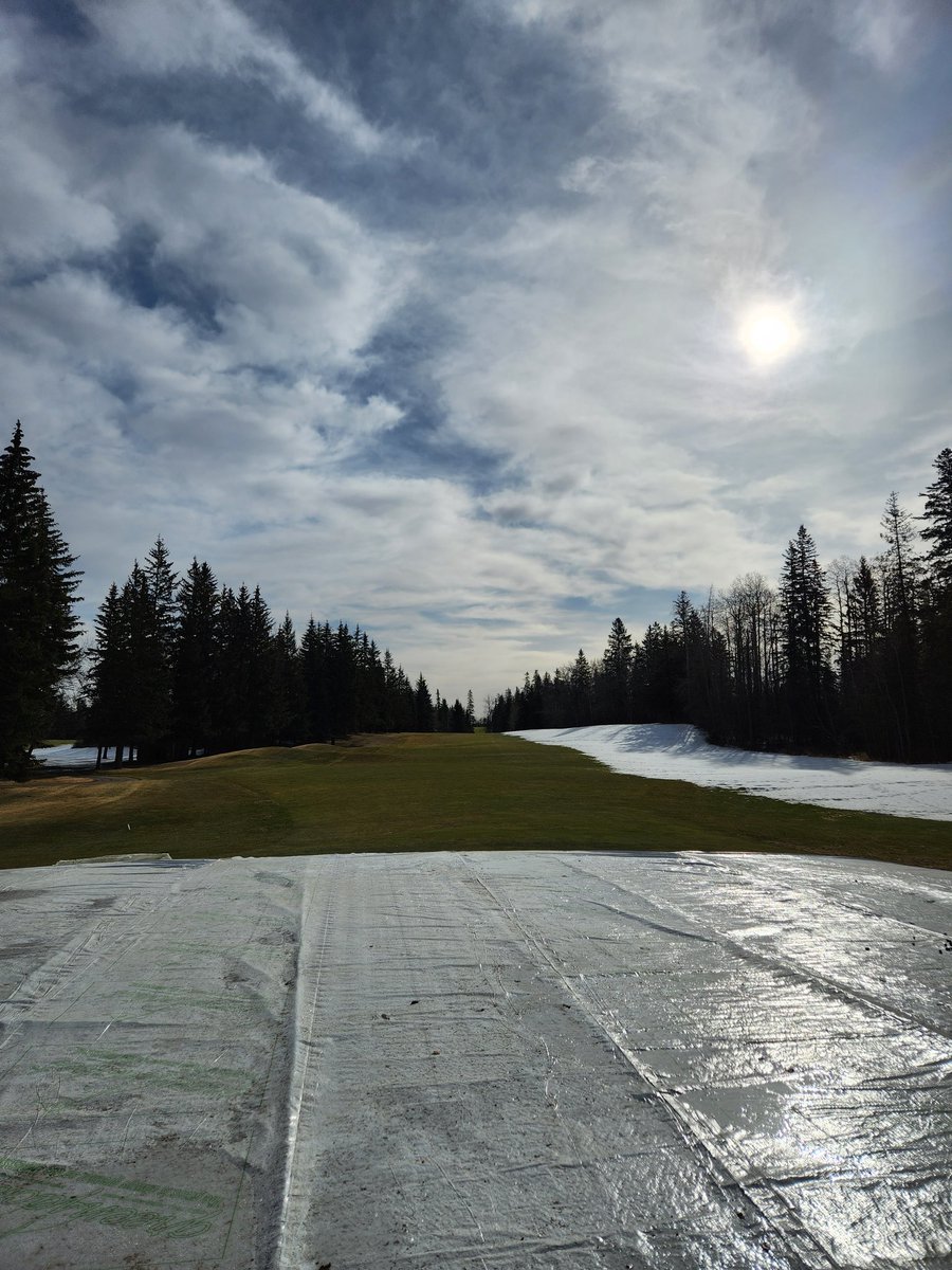 Happy Easter to all! 
Progress on #12 - Thursday vs. Sunday.  Only south sides of holes are holding snow. Busy week ahead for  @TheglendaleYeg Turf Care staff. #MastersSunday
