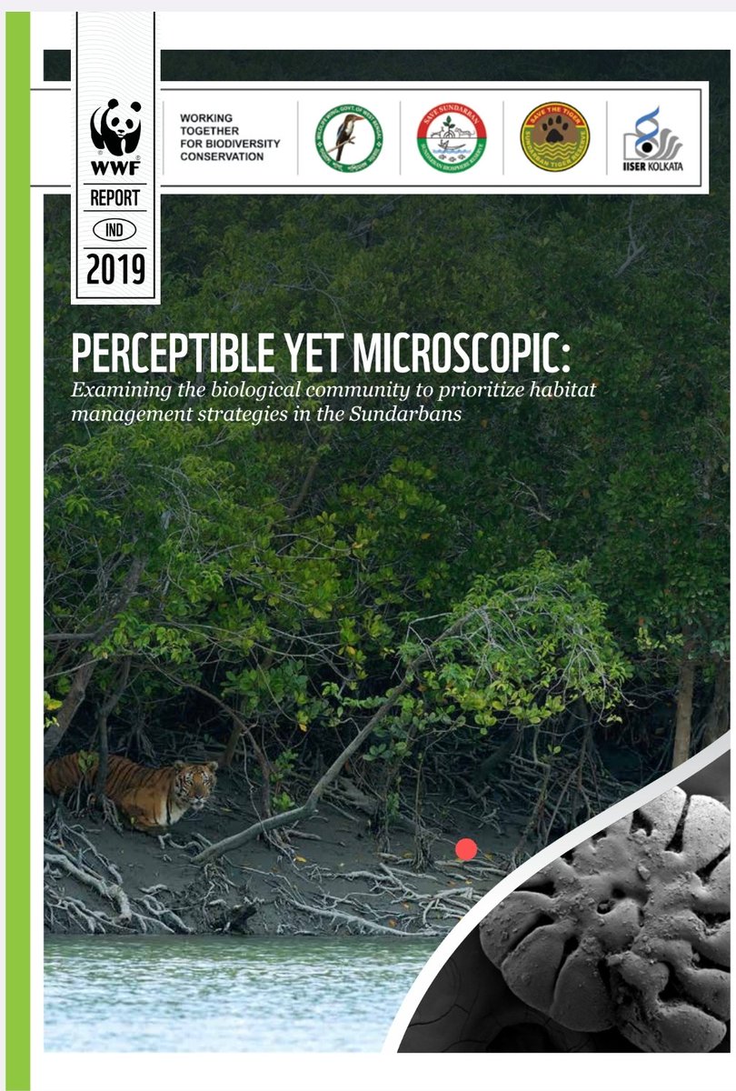 As we celebrate 50 years of Project Tiger, a conservation success led by India for Globe, our ongoing exercise using robust scientific approaches to map ecological health of tiger habitat in the world's largest contiguous mangrove wetland- Sundarbans @WWFINDIA @ITMERG1 @iiserkol