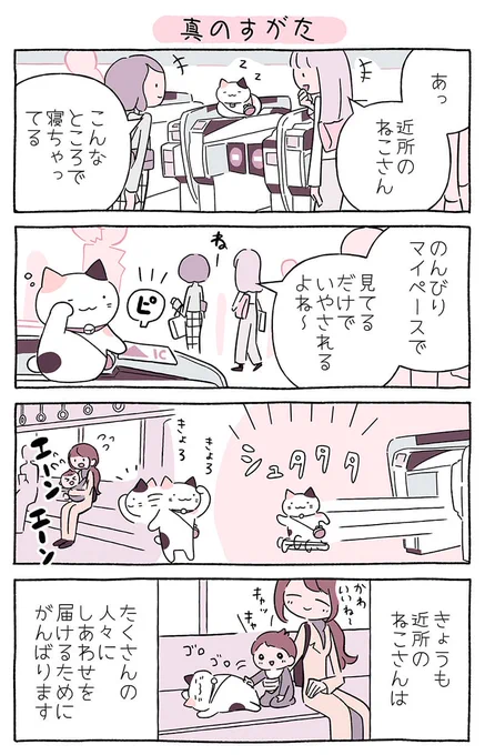 おはようございます😁げつようび‼️

朝の忙しい時間帯に「近所のねこさん」に会ったら、癒やされそう～🥰

…と思ったら、じつは知らないところで頑張っているみたい😂

わたしたちもねこさんのように頑張らないと🤩

今週もよろしくお願いしまーす✌️

@nitorisasami
#近所のねこさん 