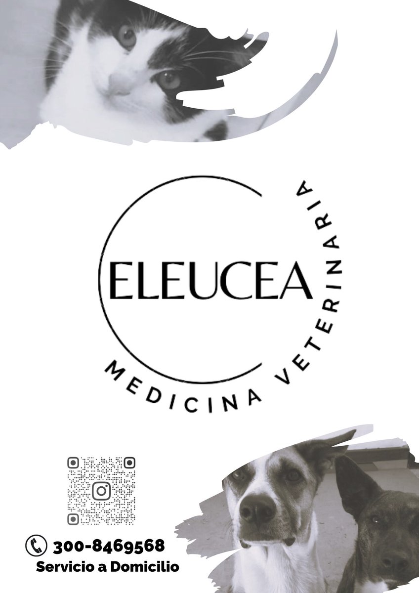 eleucea medicina veterinaria (@eleuceamv) on Twitter photo 2023-04-09 17:32:42