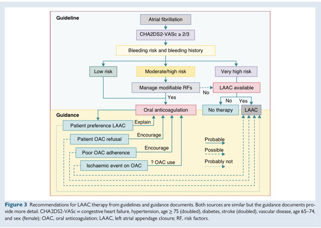 Edgardo Alania tweet media