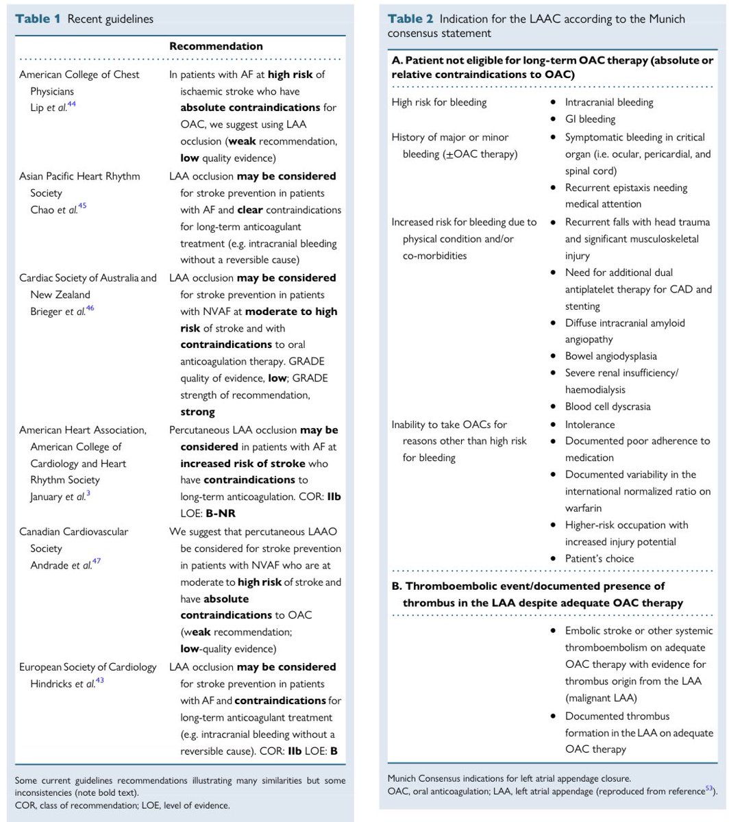Edgardo Alania tweet media