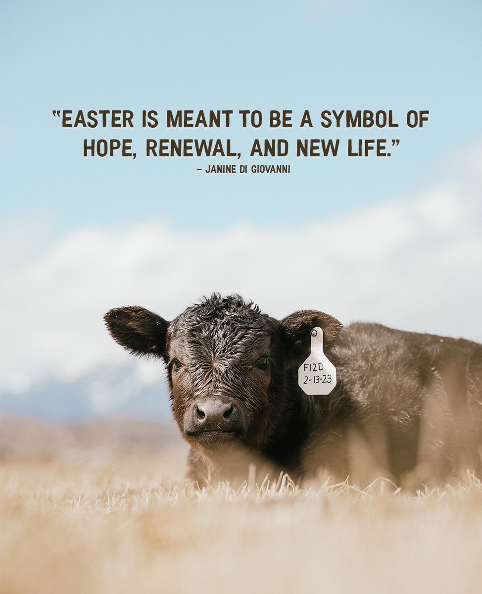 b_hittson's tweet photo. Happy Easter 🤎🤍

#Easter2023 #newlife #westernphotography https://t.co/ARHmkgSIcl