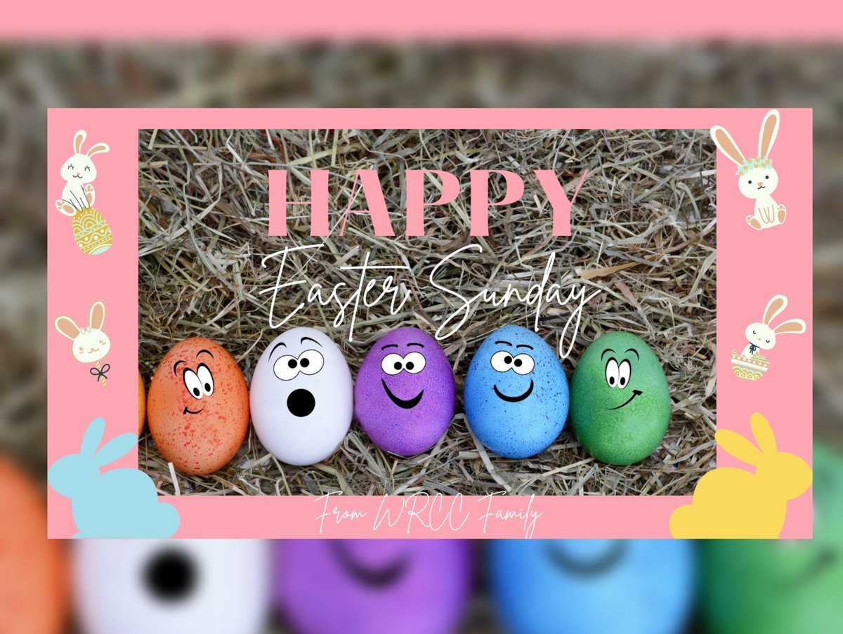 ✨️Wishing everyone 🐰Happy Easter 🐰 Sunday ✨️