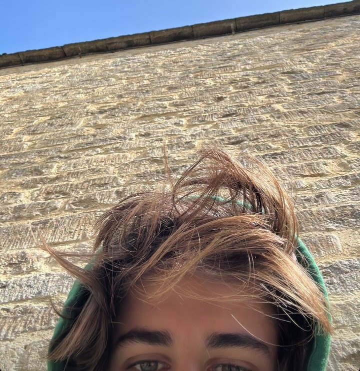 BashFiles's tweet image. 