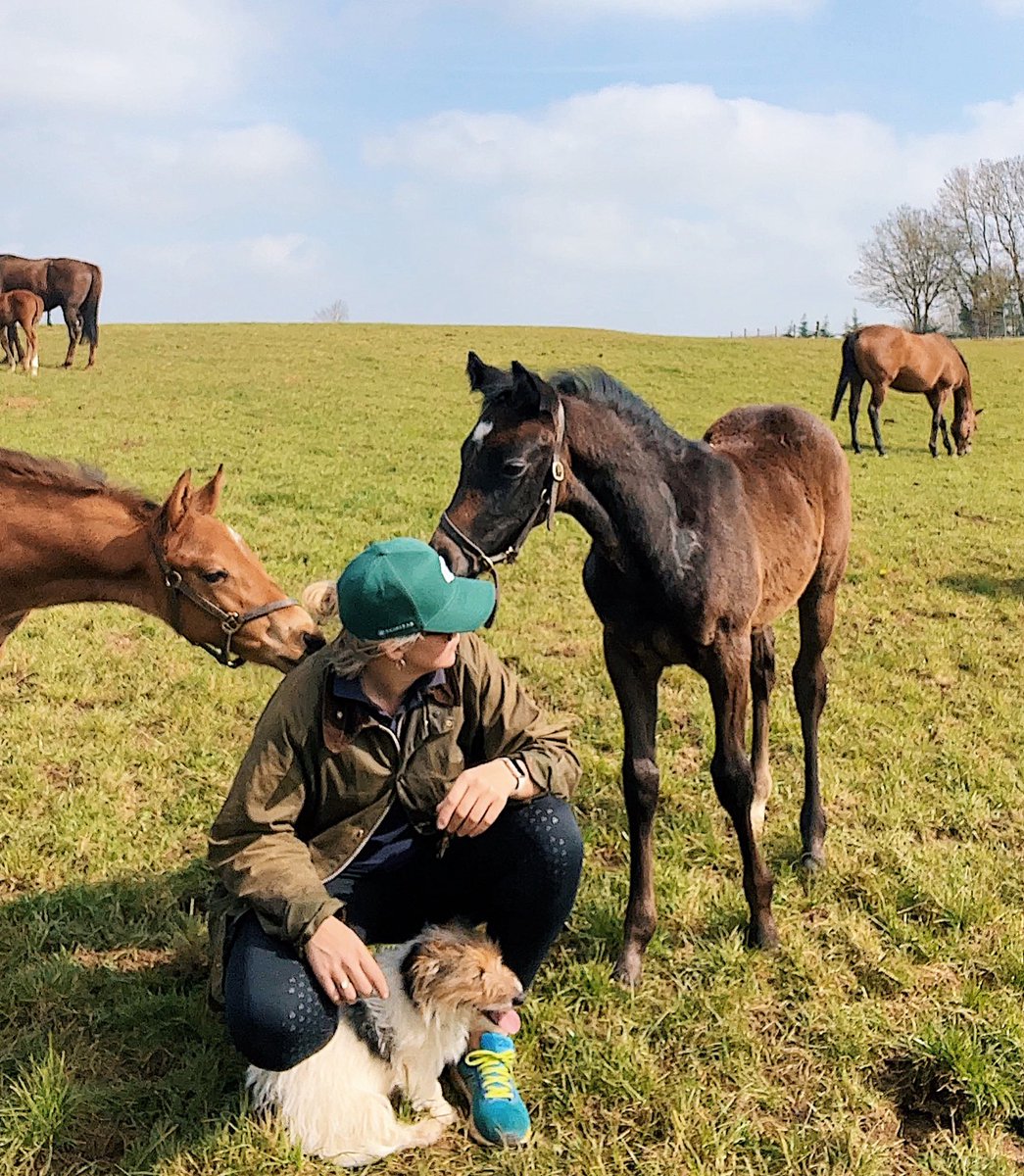 V_Binnie_Ryle's tweet photo. 🐣🥇From Wolves for @SkySportsRacing to getting to know the foals at @CulworthGrounds. An ideal Easter weekend. #FindingWinners #SpringHasSprung 🐣🥇 https://t.co/gjTGzy8aHd