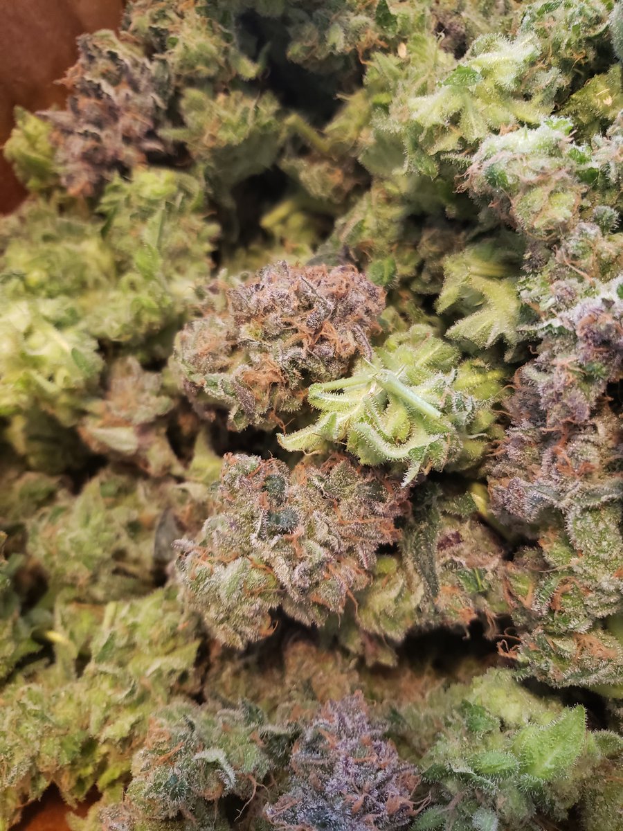 CryptoNgrow tweet media