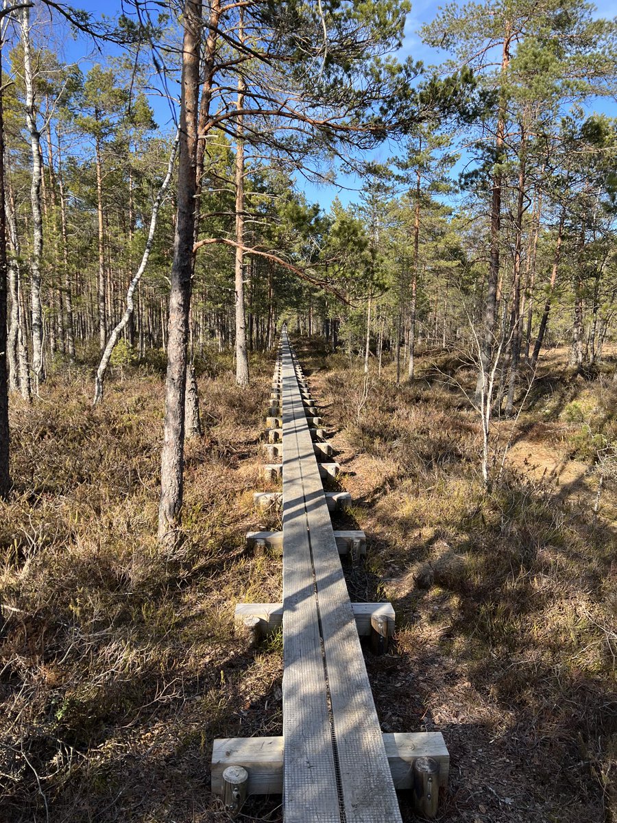 MarrMikk's tweet photo. Fantastic Estonian spring! https://t.co/xrCJRqah6R