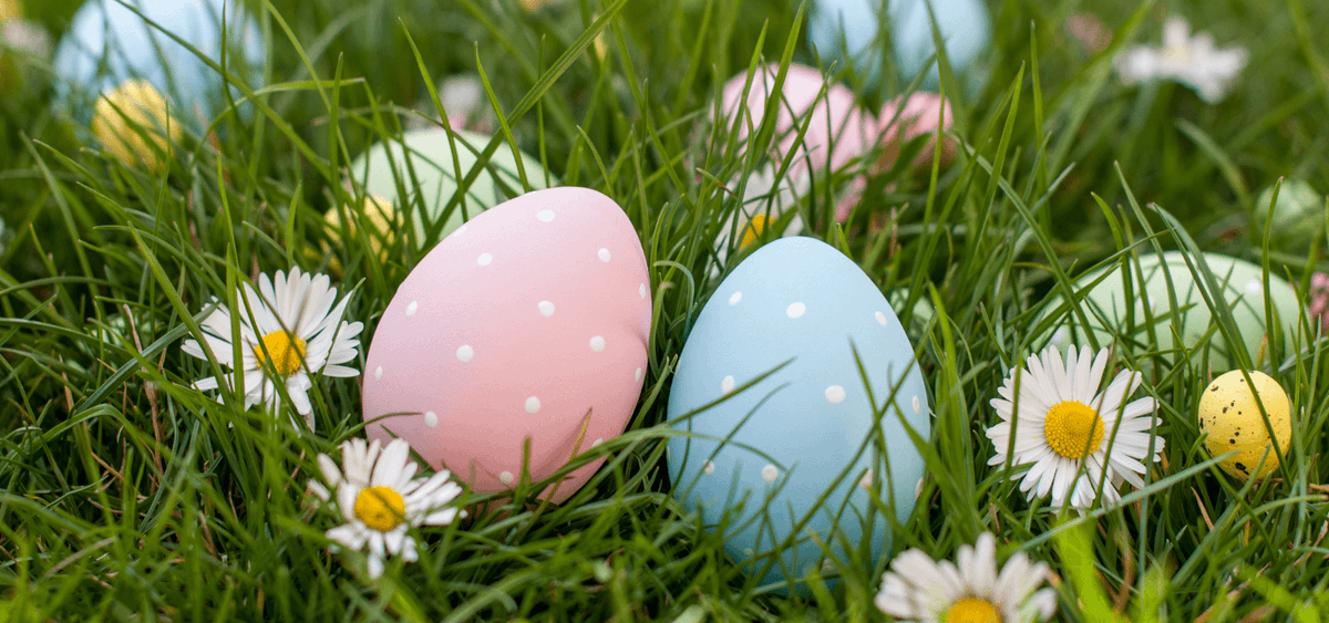 coreyheimensen's tweet photo. Happy Easter, everyone!🐰

May today bring peace, happiness, and precious memories with your family and friends. 

Wishing you all a happy and blessed Easter. https://t.co/0nGsBhTRYd