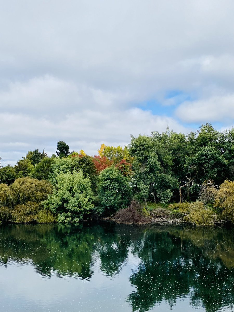 kochaurio's tweet photo. 🍂 Mariquina🍂

#mariquina #chile #nature #landscape https://t.co/ixKYO9mdDQ