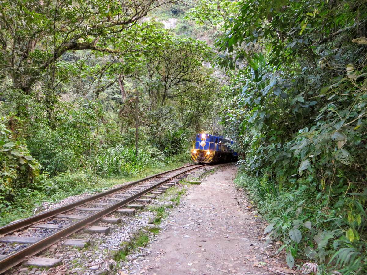 RondreisPeru's tweet photo. Ervaar de hoogtepunten van Peru gedurende 24 dagen met een adembenemende trek door de Andes en een onvergetelijk verblijf in het regenwoud. Boek nu! 

https://t.co/snLJ0qUl25

#RondreisPeru #MachuPicchu #SalkantayTrek #AmazoneJungle https://t.co/i0c2QTtJGE