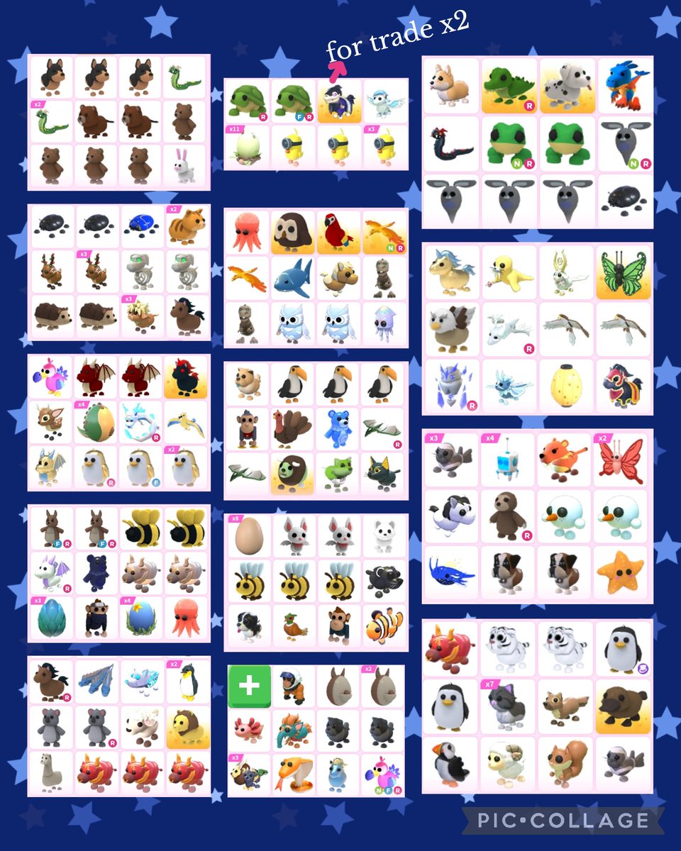 _MiraculousMe_'s tweet photo. @PlayAdoptMe 📢Trading📢

ALL 🌟 R NFT

I STRICTLY DONT OFFER

•Checkout the third pic to see what I am looking for 
•DONT STEAL MY TRADES
•Like = nty
#Adoptmetrades #adoptmetrading #adoptmetradings  #adoptmeseller #adoptmepets #adoptmebuying #AMTrades https://t.co/NvbOh6Scl0