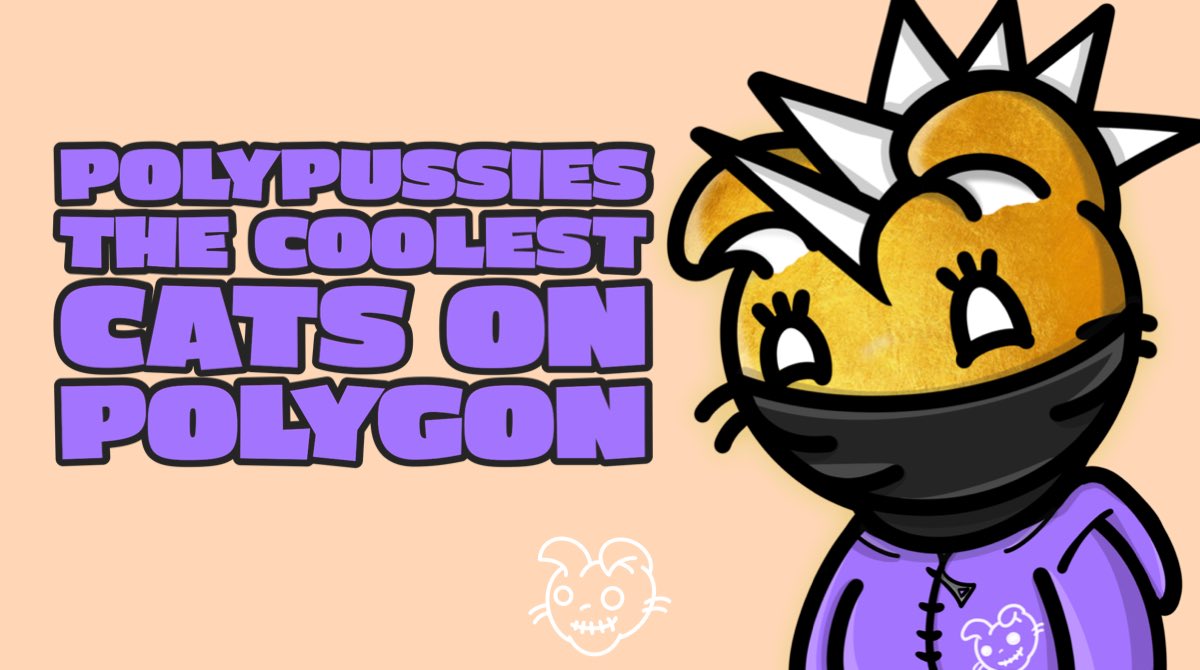 Poly Pussies on Twitter: "Stage 2 is complete let's go for stage 3 the