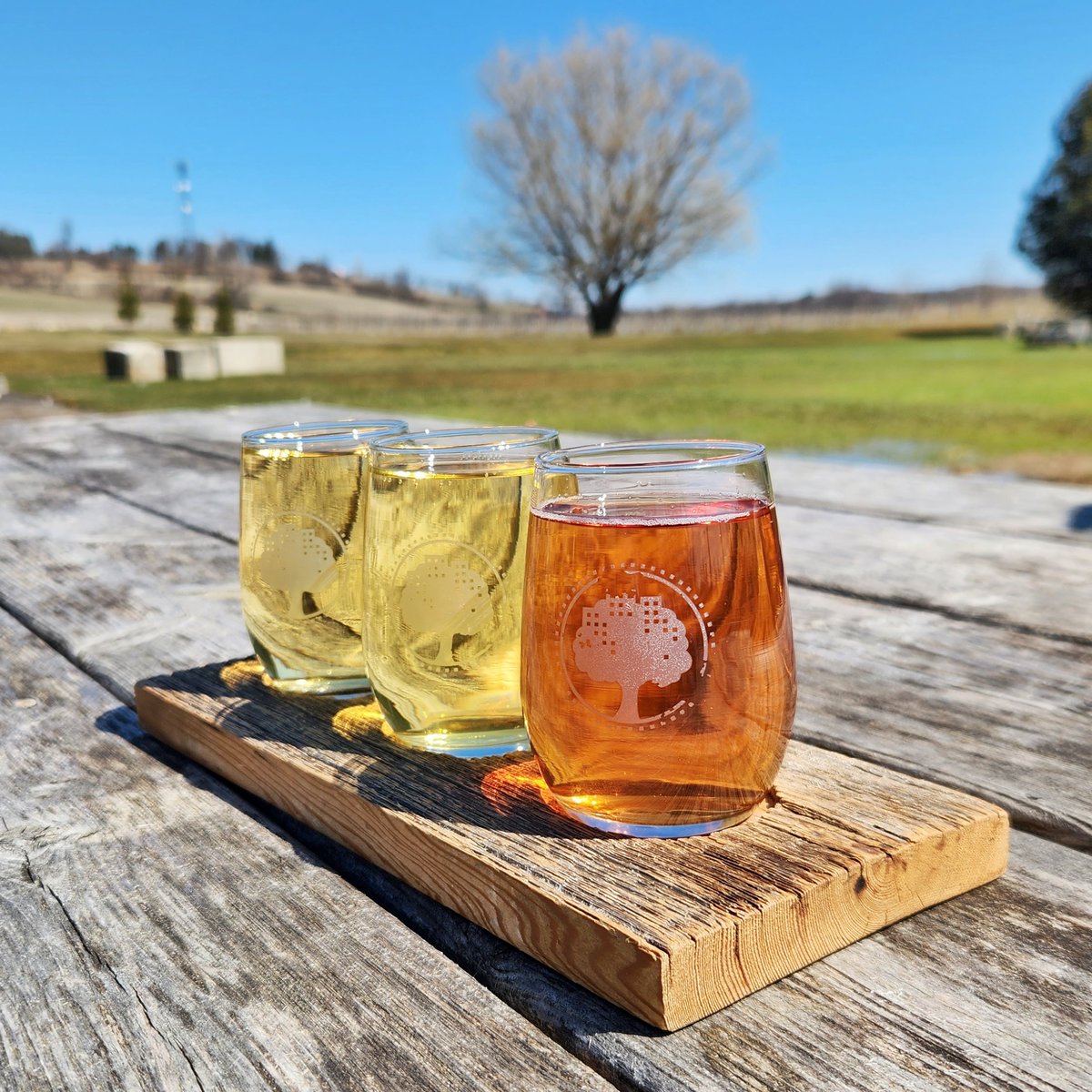 Cider flight.
Sunday afternoon <a href="/WestAvenueCider/">West Avenue Cider</a>
Chill, a soft breeze plays under the blue sky sunshine as late 90s early 2000s tunes drift over this early spring day. 
I dig cider when the sun comes out to play. It feels like summer is coming...