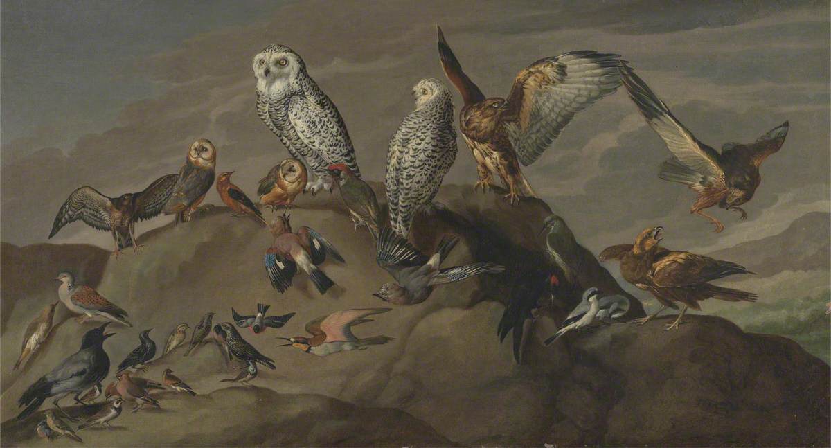 artukdotorg's tweet image. Our precious birds 🦅 — @CarlaBenzan has a proposition for art lovers and birdwatchers and for all of us who are watching Attenborough's #WildIsles (a documentary series co-produced by @BBC and @OpenUniversity): artuk.org/discover/stori…

unknown artist 📸 @YaleBritishArt