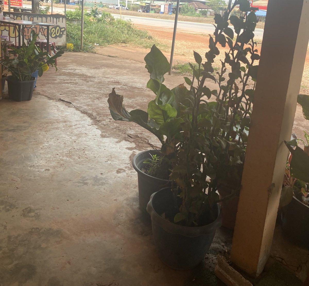 ideaplanerr's tweet image. 28day of 359 day

วันนี้เหนื่ยฝุดๆไปเบยยยนั่งทำโจทย์คณิตทั้งวันเพิ่งเรียนเซตจบฮะะะะเราว่าจาทวนทำโจทย์ให้คล่องก่อนกลัวบับถ้าไปเรื่องอื่นเดียวลืม5555😝

รู้สึกวันนี้อ่านน้อยมั้กเลยจาปรับเปลี่ยนเวลาอ่านหนังสือลองดูฮะปิดเทอมเอาให้เต็มที่เเเงง

สู้ใหม่ฮะพรุ่งนี้✌🏻

#วันนี้dek67ทำอะไร