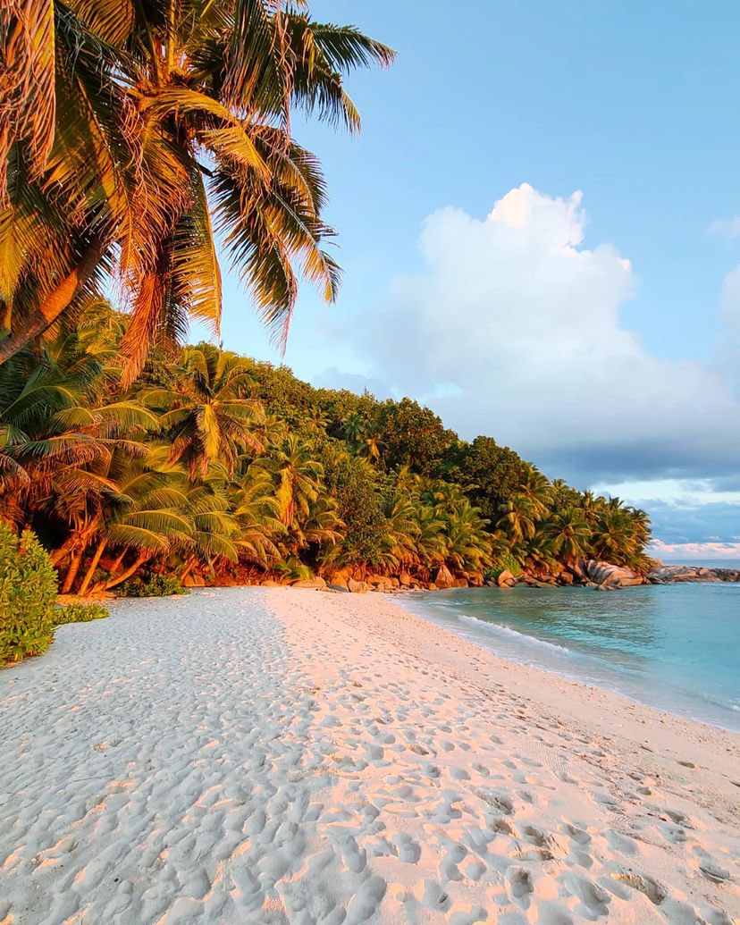 Sunset in the Seychelles 🌅🌴
