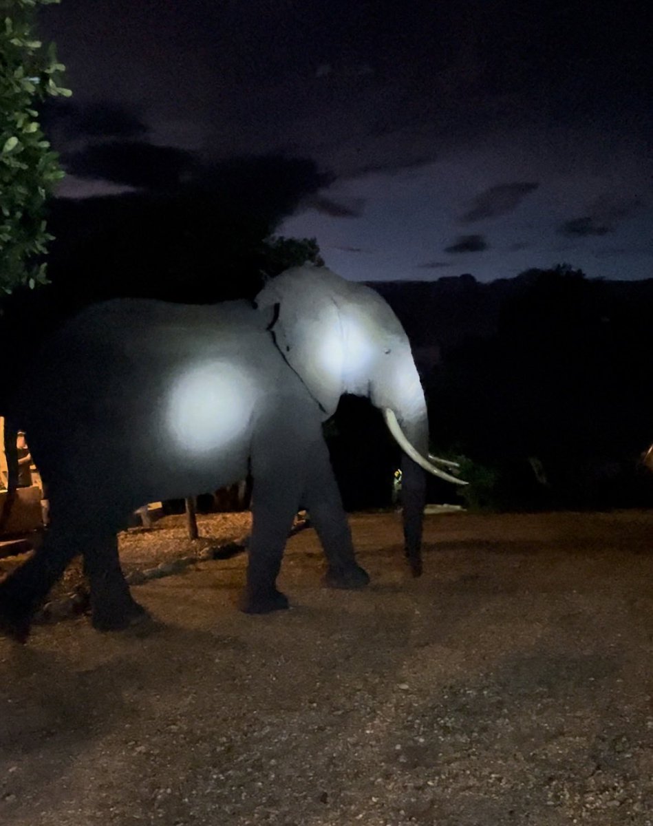 Ole Reidar Bergum tweet media