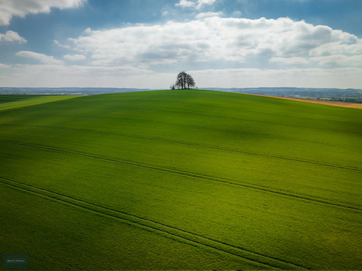 Brightwell Barrow offering up a Windows XP style backdrop. HedleyThorne.com