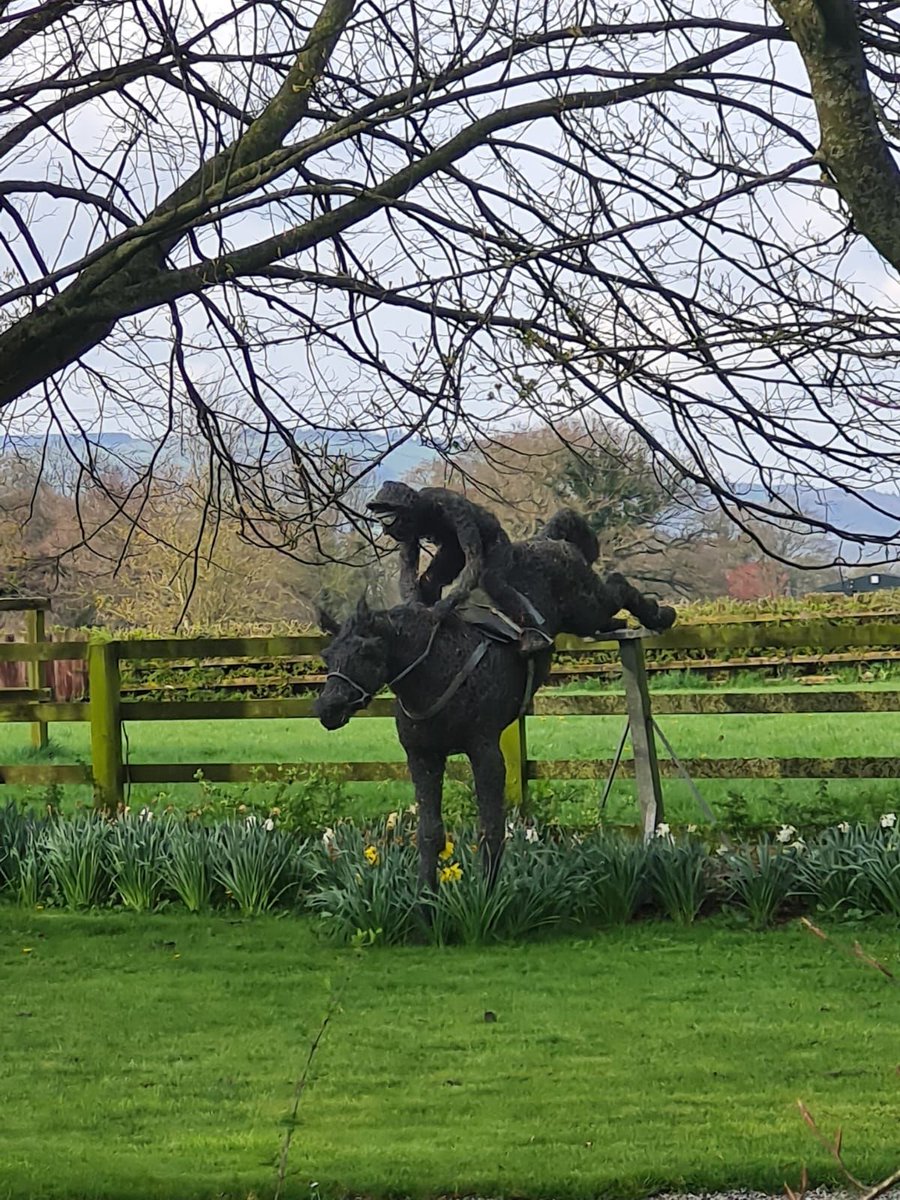 Sports & Betting History by BestBettingSites on Twitter "This