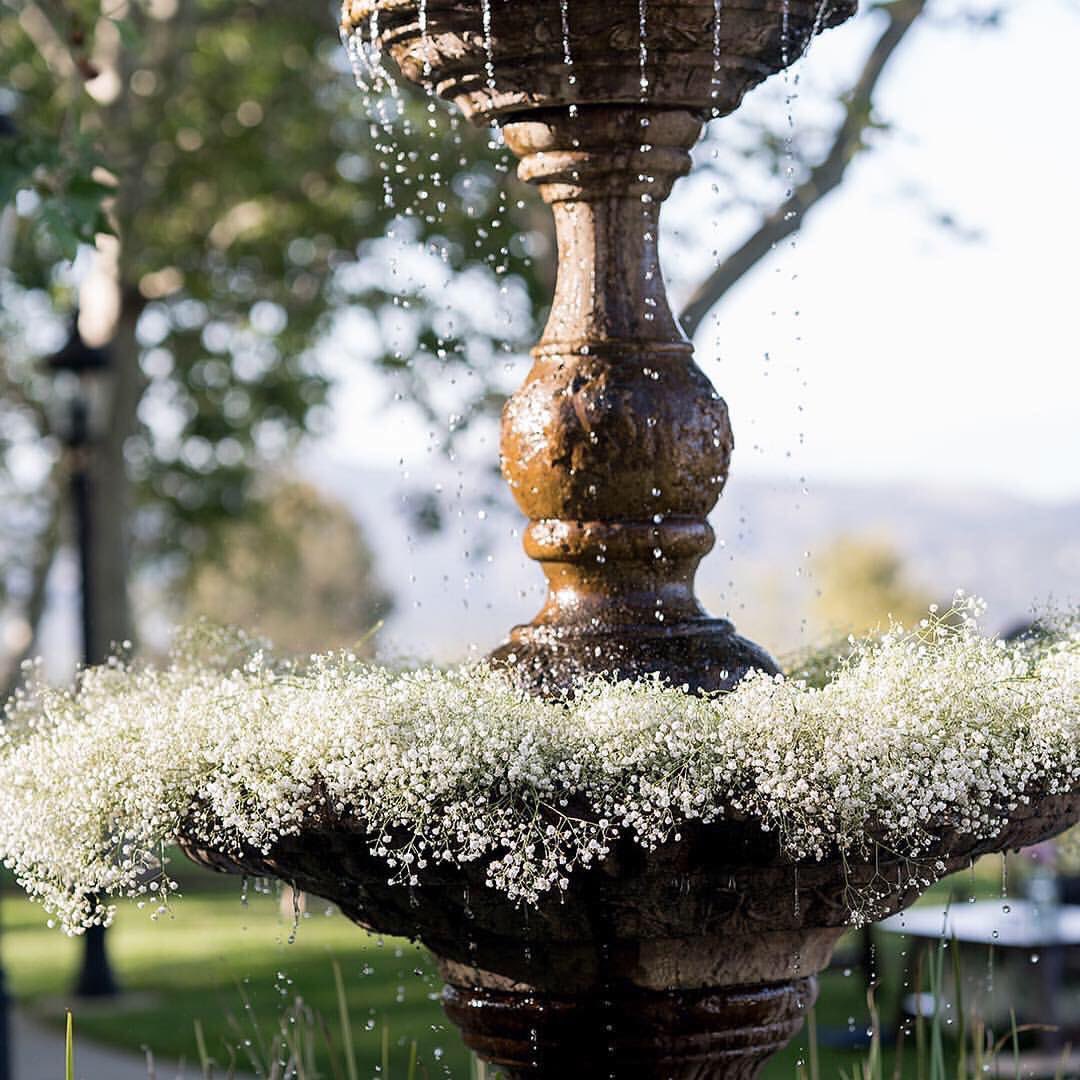 Summit House tweet media