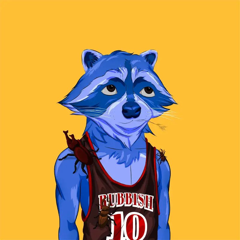 Thanks to all my supporters 🙏 💜
This AlgoRaccoon #1027 is goin to one of my supporters 🔥
✅️ Follow <a href="/CryptoAndzaans/">CryptoAndzaans.Algo 💜</a> &amp; <a href="/ikaaaa93/">THE VOID</a>
✅️ Like &amp; Retweet ✨️
✅️ Tag 3 algo buddies 💜
⏰️ 48H 🔥
#LFG #AlgoKit #AlgorandNFTs