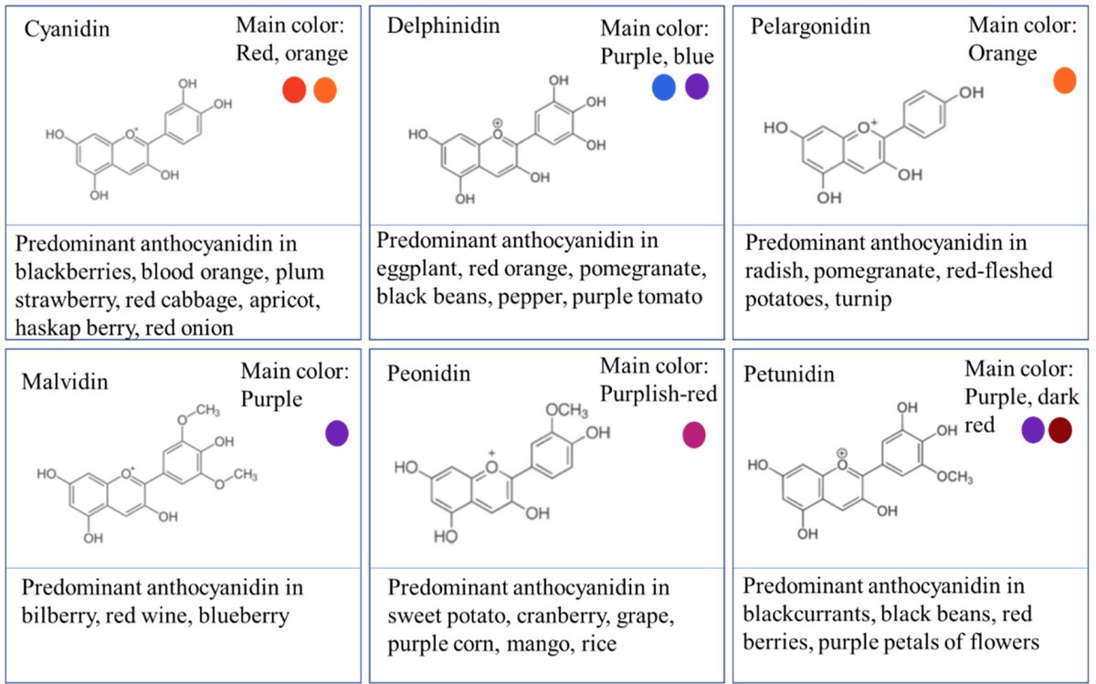 Anthocyanins The colourful flavonoids with antioxidant, anti