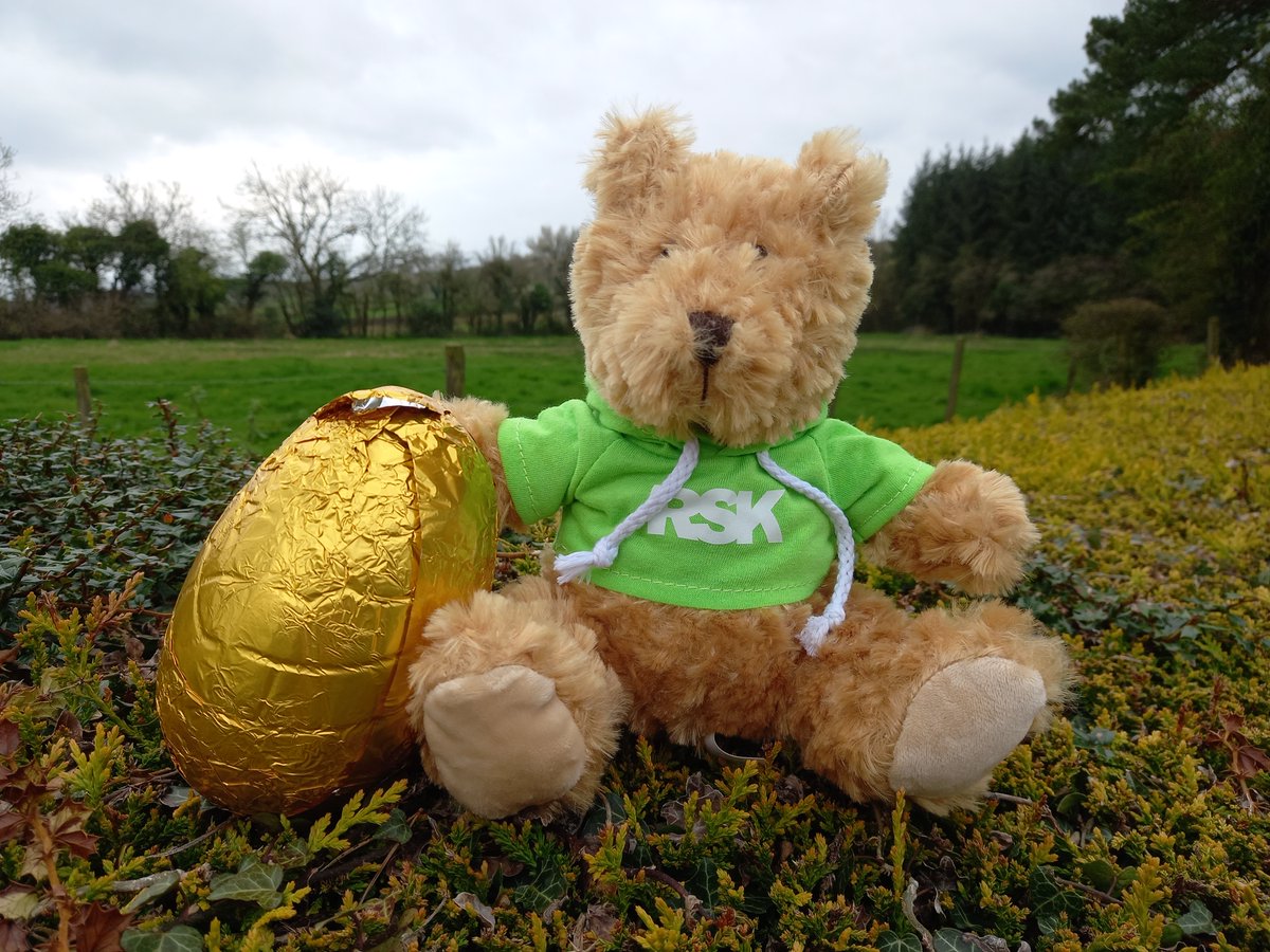RskIreland's tweet photo. Happy Easter to friends & followers! #BertieBear the @RSKGroup mascot is in Ireland this week at the start of his tour of some of our iconic sites. Enjoy the break - take time for mindfulness and for nature & we'll be back after the holidays. #rskfamily #environment https://t.co/kqdkg8Sb9p