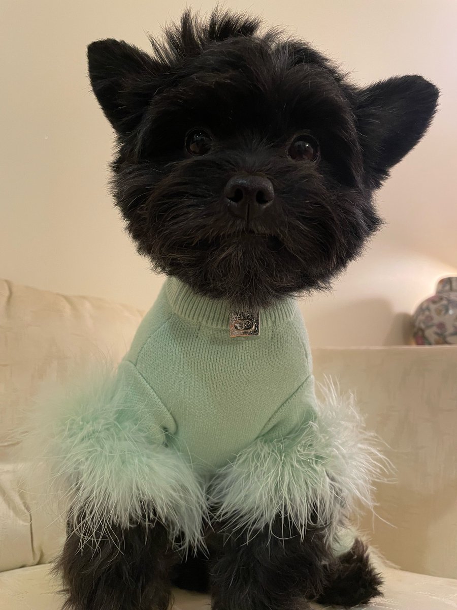 nessa_effect's tweet photo. DIOR’s Easter outfit https://t.co/cznGXFVrpc