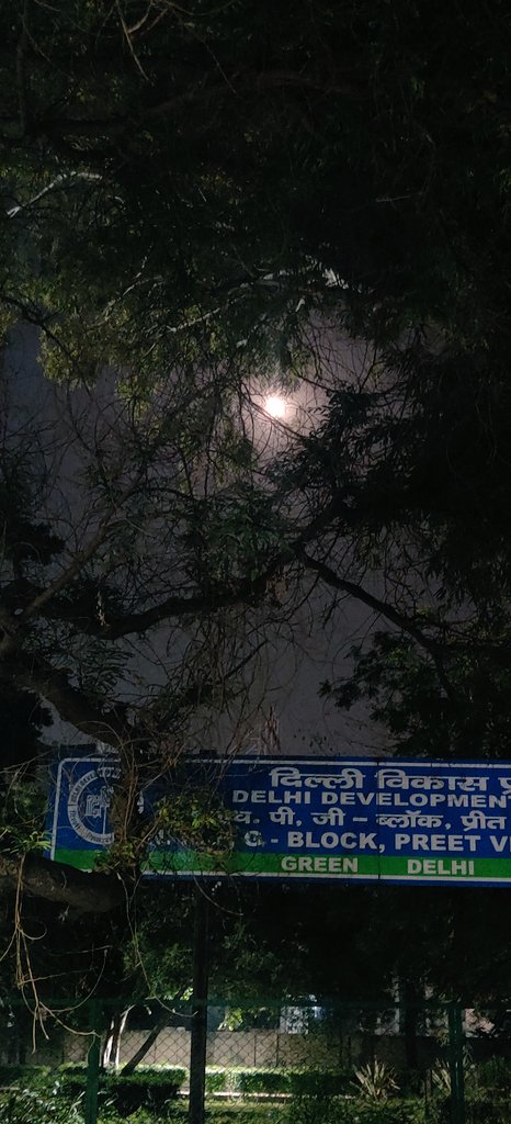 parastithi's tweet photo. part 3,
another delhi weekend https://t.co/rQGUirmHgr