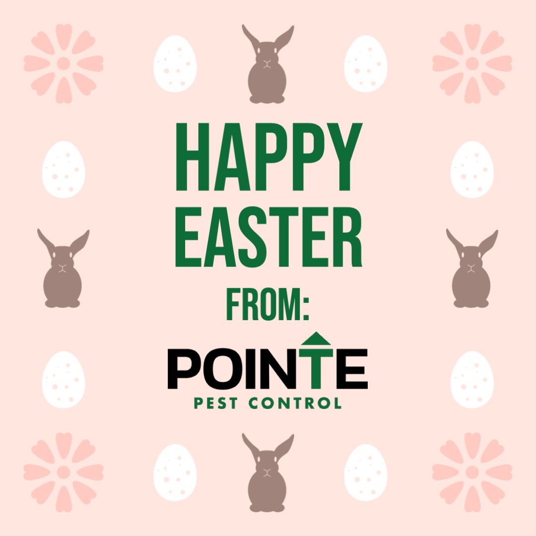 PointePest's tweet image. Happy Easter!!