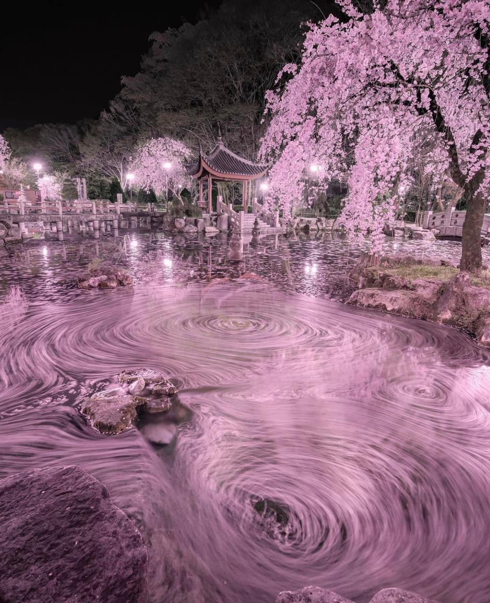 nature_forum's tweet photo. Cherry blossom season in Japan offers magical landscapes! 🤩🇯🇵🌸

📸: tomohase_ (IG) #nature #flowers https://t.co/T4djLLVUXs