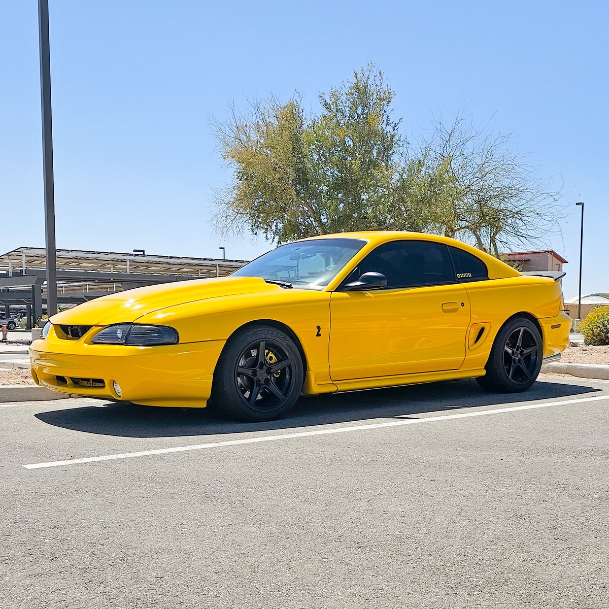 brooksbc's tweet photo. #sn95sonly #cobrasonly #mustang_freakzz #slammedstangs #mustangjuice #mustang_fame_page #theponyaddicts #mustangmagazine #mustangsofinstagram #fordperformance #musclecars #mustangaddiction #mustanglife #carsofinstagram #fordracing #mustangfanclub #stangaddiction #fatalstangs https://t.co/bQ0w6nuxEJ