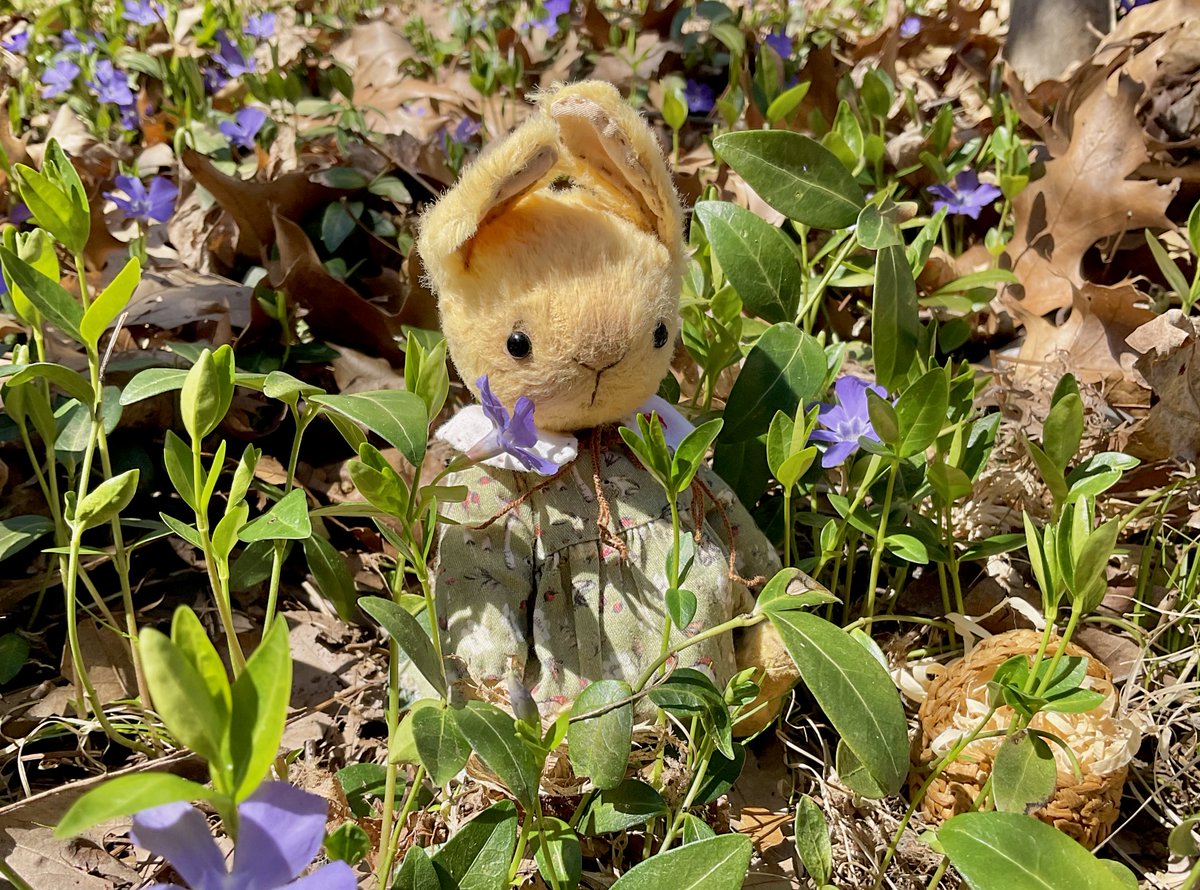 lisanovelline's tweet photo. “Is the spring coming?" he said. "What is it like?"...
"It is the sun shining on the rain and the rain falling on the sunshine...” 
― Frances Hodgson Burnett, The Secret Garden 🌺💗🌞☀️

#HappyEaster #HappySpring #HappySunday https://t.co/YThR6cMQUJ