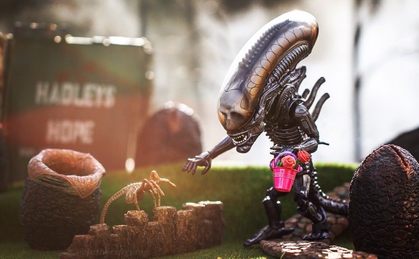 RealCarrieHenn's tweet photo. Wishing everyone out there a safe and “hoppy” #Easter. Be careful what you take home from your #egghunt…you might accidentally get a hitchhiker #facehugger 😂😜🤣 #NewtLives #Aliens #LV426 #AlienQueen #xenomorph #bughunt https://t.co/GyzfodxxLt