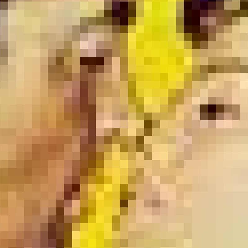 LongWhiteCloud4's tweet photo. #PixelPics...        

Check them out at :   

https://t.co/jL6ztlQaw3…………       

#Colour #Minimalism #Simplicity #NFT #NFT_community #OpenSea #ETH #Ethereum #nftpromoter #ETH #Art #Contrast #Image #NFT #NFT_community #OpenSea #ART https://t.co/NbvkBOqDL9