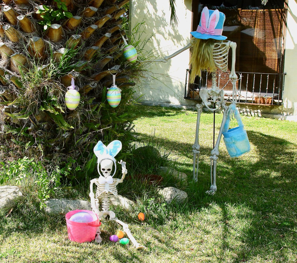 RF on Twitter "RT ShorealoneFilms Well if Bunnies arnt your thing