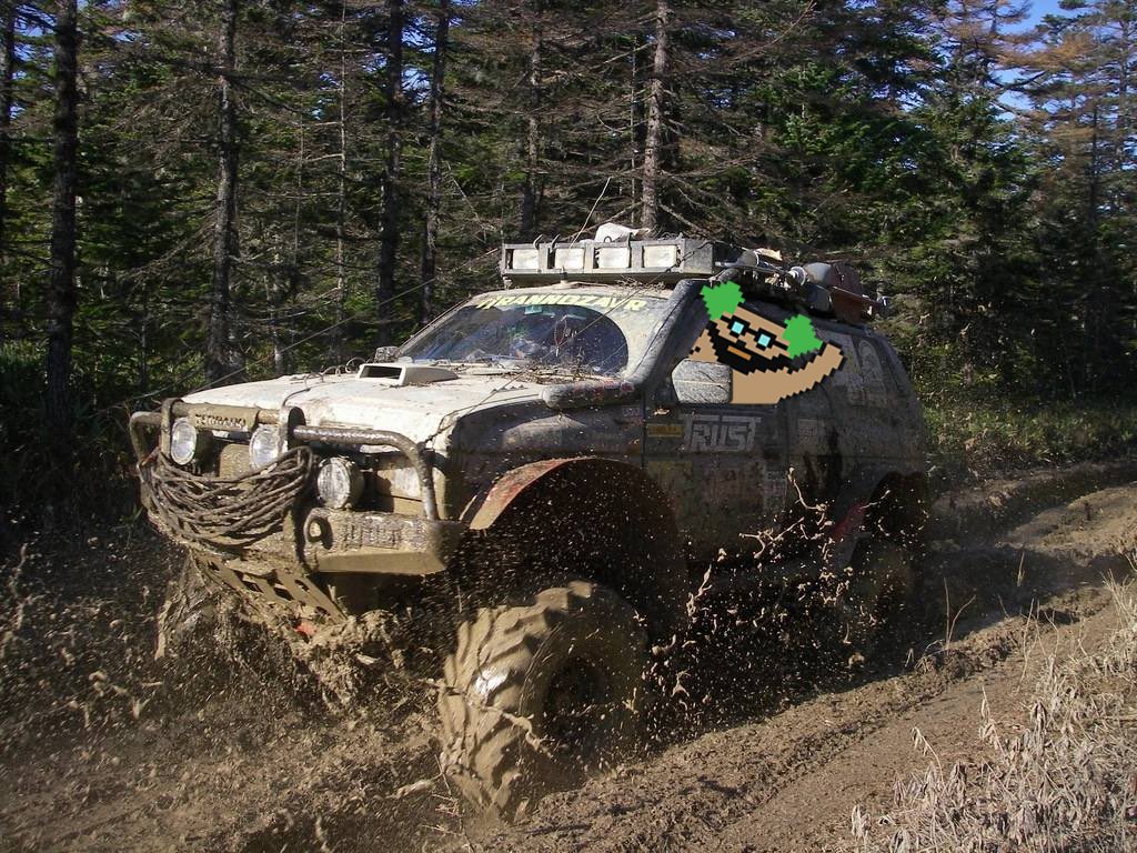 OLD Larva Chads (Moved to @ larvachad) tweet media